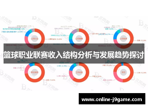 篮球职业联赛收入结构分析与发展趋势探讨
