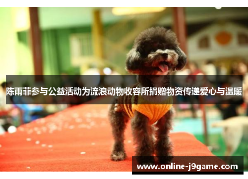 陈雨菲参与公益活动为流浪动物收容所捐赠物资传递爱心与温暖